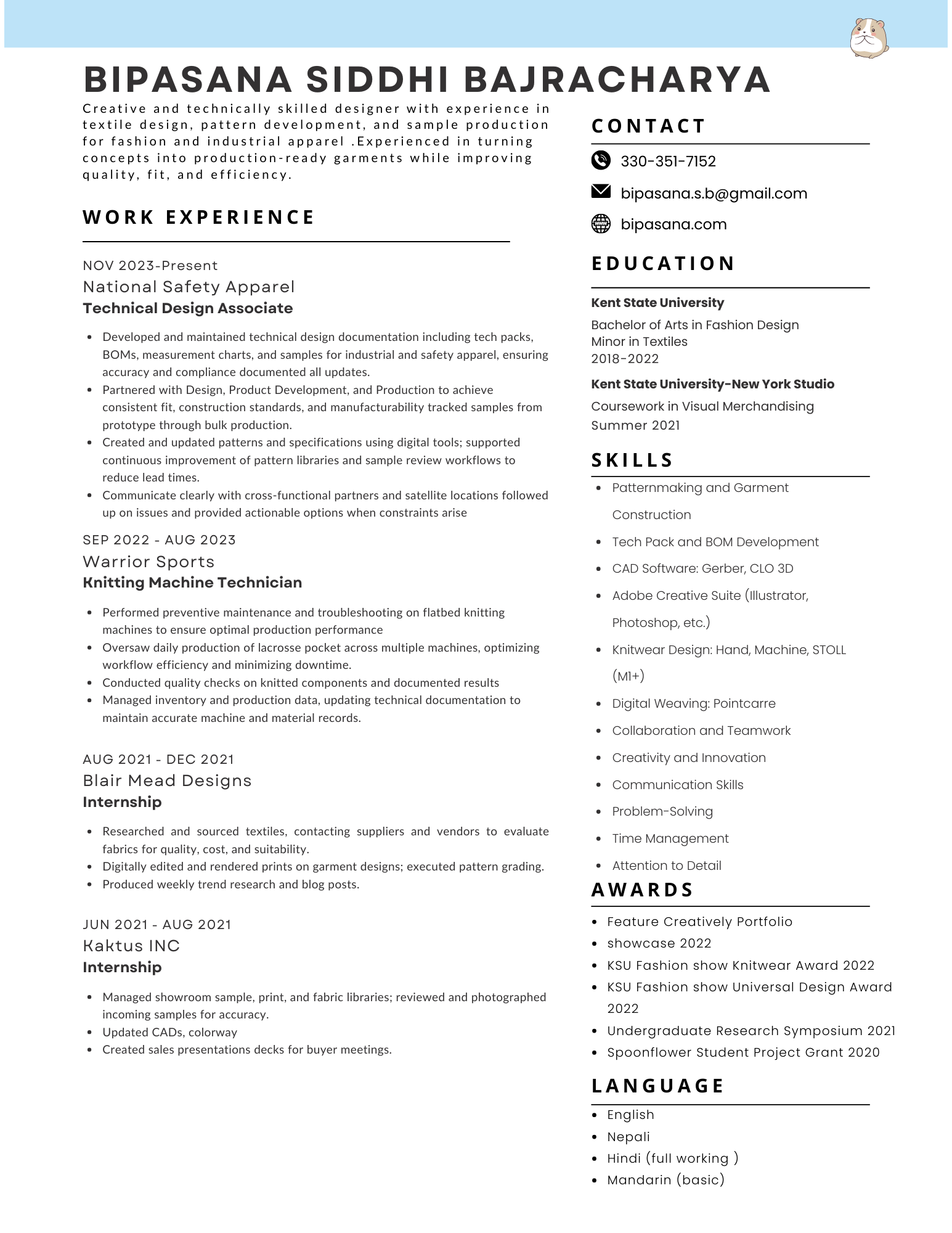 Resume preview